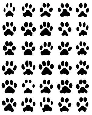 kedi pençeleri Yazdır