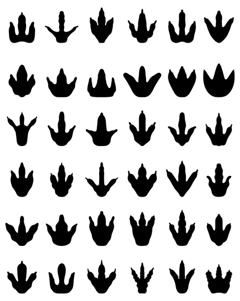 Huellas de dinosaurios — Vector de stock