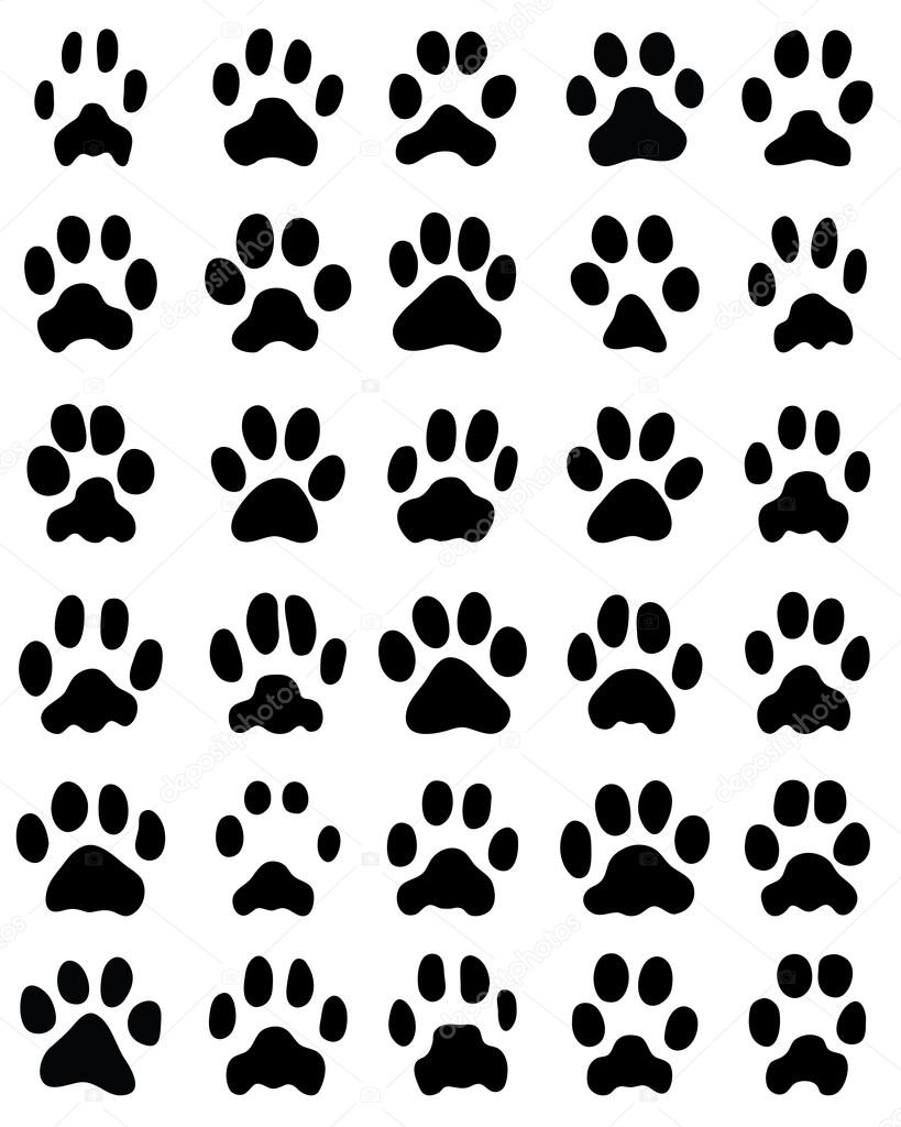 Imprimer Des Pattes De Chats Image Vectorielle Katarinafil