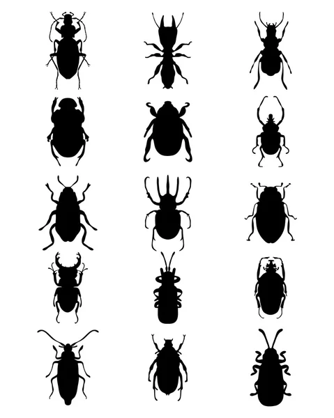 Silhouettes of bugs — Stock Vector
