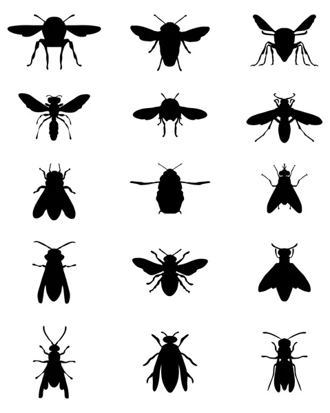 Abejas y avispas — Vector de stock