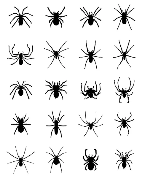 Silhuetas de aranhas — Vetor de Stock