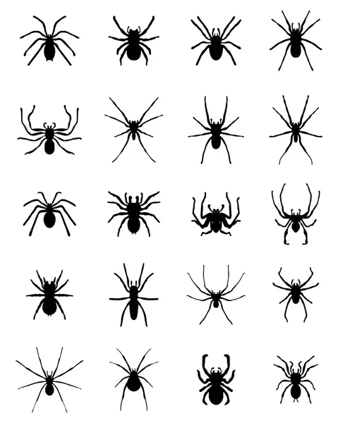 Silhouettes d'araignées — Image vectorielle