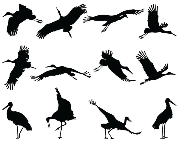 Black Silhouettes Storks White Background — Stock Vector