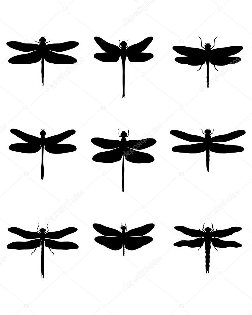 silhouettes of dragonflies