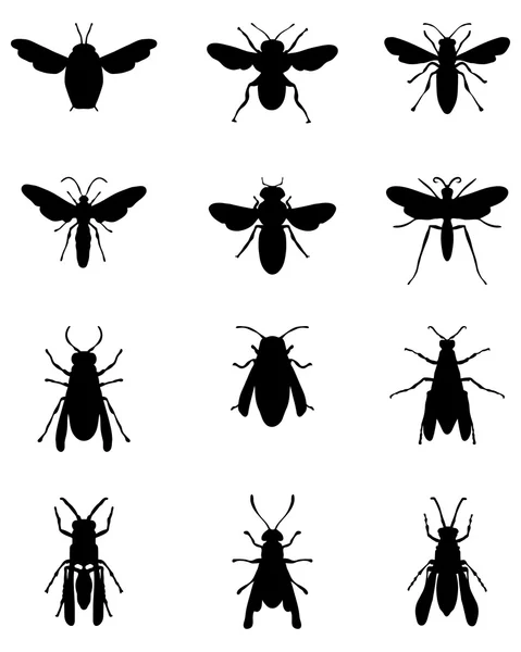 Abejas y avispas — Vector de stock