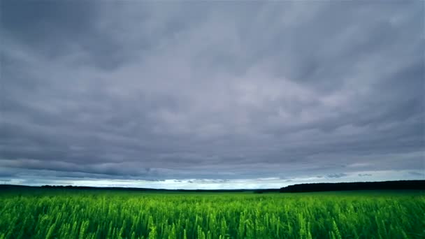 Nuvole di timelapse sul campo verde — Video Stock