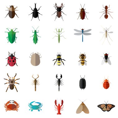 Vektör düz uzun gölge 25 böcek böcek ayarla