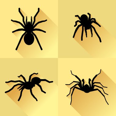 Vektör uzun gölge siyah siluet örümcek Tarantola Set