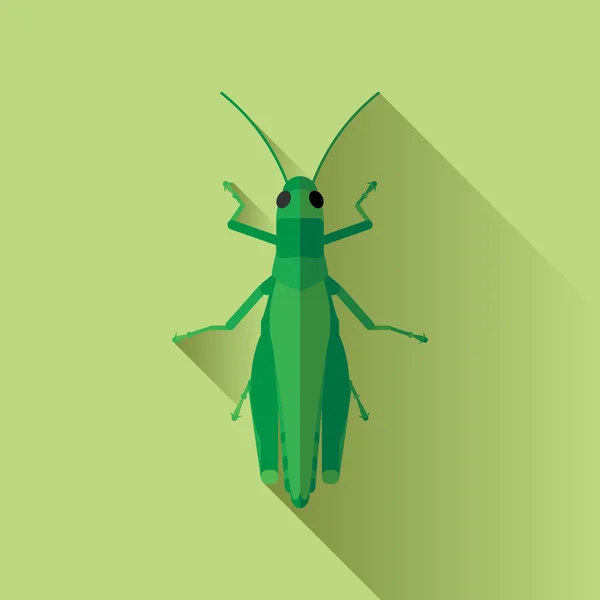 Enjambre largo del insecto del saltamontes de la sombra del vector — Vector de stock