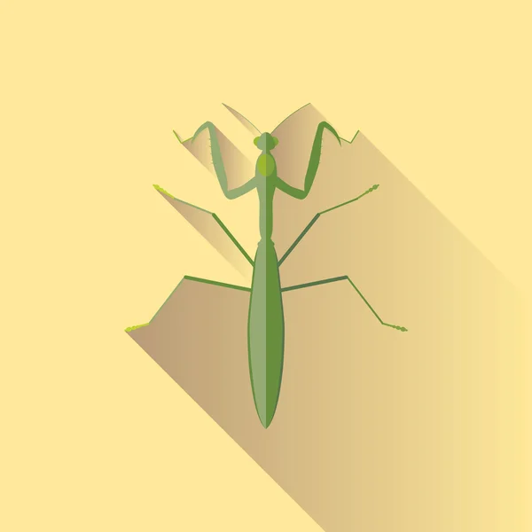 Vetor Sombra Longa Oração Mantis Bug Insect — Vetor de Stock