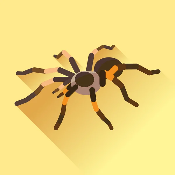 Promenade Vector Long Shadow Flat Spider Tarantola — Image vectorielle