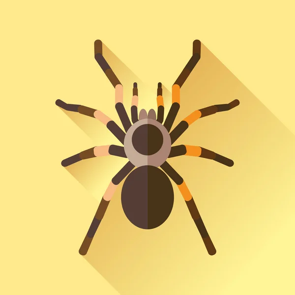 Lange schaduw platte Spider Tarantola Insect vector — Stockvector