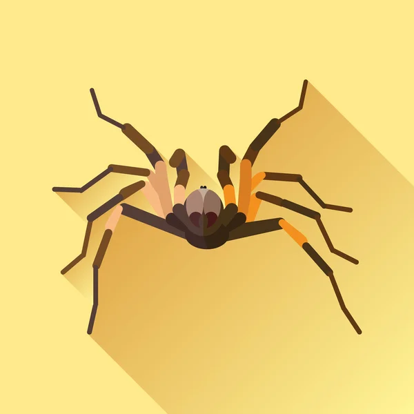 矢量长长的阴影平蜘蛛 Tarantola 攻击 — 图库矢量图片