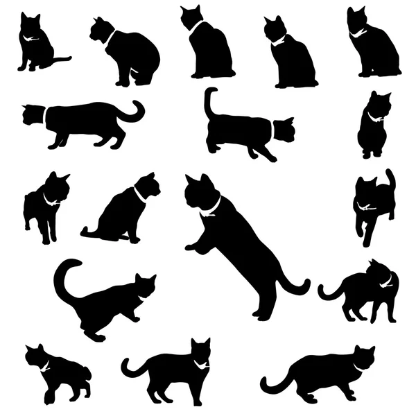 Vector gato y collar silueta signo conjunto — Vector de stock