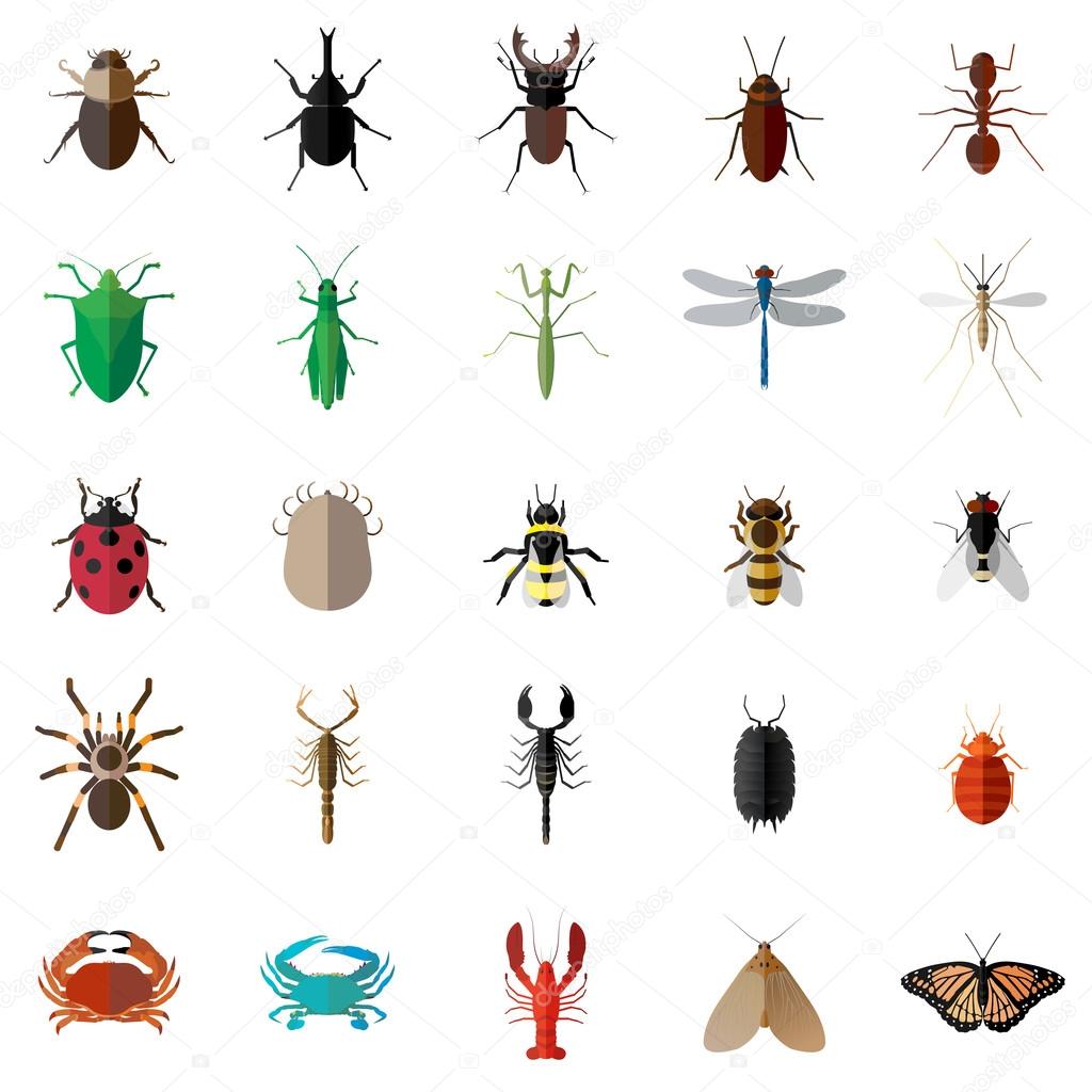 Vector flat long shadow 25 Bug Insect Set