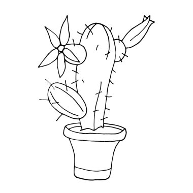 Beyaz arka planda kaktüs. Kaktüs tasarımı. Kaktüs dokusu. Kaktüs rengi. Kaktüs iç mekanları. Kaktüs sancağı. Kaktüs posteri. Kaktüs karikatürü. Kaktüs manzarası. Kaktüs Meksikası. Kaktüs illüstrasyon. Kaktüs 