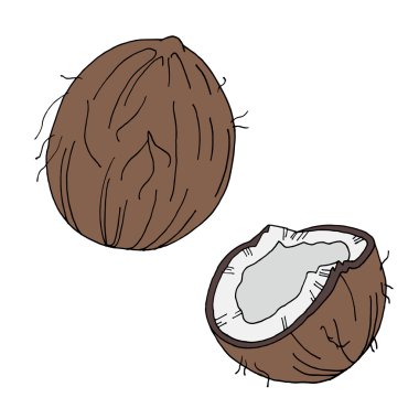 Hindistan cevizi simgesi kümesi. Hindistan cevizi tasarımı. Hindistan cevizi sanatı. Hindistan cevizi afişi. Hindistan cevizi posteri. Hindistan cevizi kartı. Hindistan cevizi izole edilmiş. Hindistan cevizi yemeği. Hindistan cevizi doğası. Hindistan cevizi simgesi. Hindistan cevizi logosu. Hindistan cevizi arka plan. Hindistan cevizi