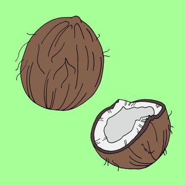 Hindistan cevizi simgesi kümesi. Hindistan cevizi tasarımı. Hindistan cevizi sanatı. Hindistan cevizi afişi. Hindistan cevizi posteri. Hindistan cevizi kartı. Hindistan cevizi izole edilmiş. Hindistan cevizi yemeği. Hindistan cevizi doğası. Hindistan cevizi simgesi. Hindistan cevizi logosu. Hindistan cevizi arka plan. Hindistan cevizi