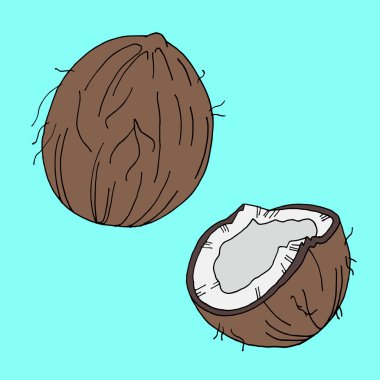 Hindistan cevizi simgesi kümesi. Hindistan cevizi tasarımı. Hindistan cevizi sanatı. Hindistan cevizi afişi. Hindistan cevizi posteri. Hindistan cevizi kartı. Hindistan cevizi izole edilmiş. Hindistan cevizi yemeği. Hindistan cevizi doğası. Hindistan cevizi simgesi. Hindistan cevizi logosu. Hindistan cevizi arka plan. Hindistan cevizi