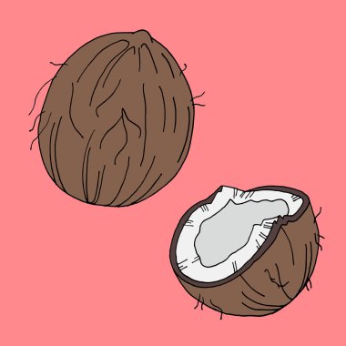 Hindistan cevizi simgesi kümesi. Hindistan cevizi tasarımı. Hindistan cevizi sanatı. Hindistan cevizi afişi. Hindistan cevizi posteri. Hindistan cevizi kartı. Hindistan cevizi izole edilmiş. Hindistan cevizi yemeği. Hindistan cevizi doğası. Hindistan cevizi simgesi. Hindistan cevizi logosu. Hindistan cevizi arka plan. Hindistan cevizi