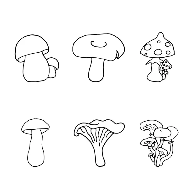 Pilze auf weißem Hintergrund. Pilzset vorhanden. Pilzesammlung. Pilz-Design. Pilzfutter. Pilz. Pilzkunst. Pilz-Logo. Pilz-Karikatur. Pilzvektor. Pilz-Plakat. — Stockvektor