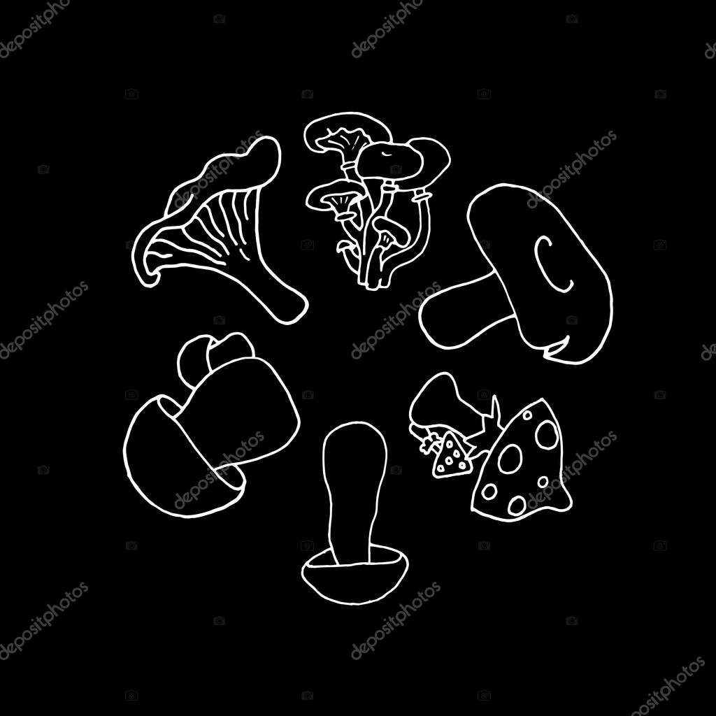 Mushrooms set on a black background. Mushroom set. Mushroom collection. Mushroom design. Mushroom food. Mushroom icon. Mushroom art. Mushroom logo. Mushroom cartoon. Mushroom vector. Mushroom poster.