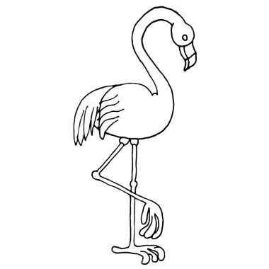 Flamingo vektörü. Flamingo illüstrasyon. Pembe Flamingo simgesi. Flamingo vektörü. Flamingo illüstrasyon. Flamingo izole edilmiş. Flamingo tasarımı. Flamingo dokusu. Flamingo logosu. Flamingo soyut. Flamingo bayrağı. Flamingo posteri. Flamingo nesneleri. 