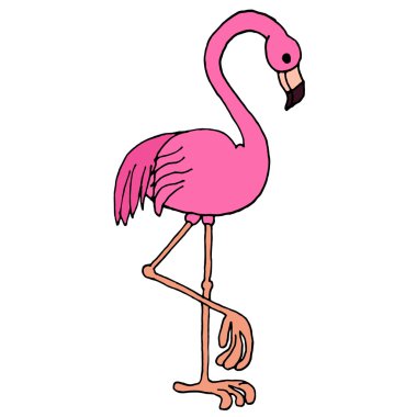 Pembe Flamingo simgesi. Flamingo vektörü. Flamingo illüstrasyon. Flamingo izole edilmiş. Flamingo tasarımı. Flamingo dokusu. Flamingo logosu. Flamingo soyut. Flamingo bayrağı. Flamingo posteri. Flamingo nesneleri. 