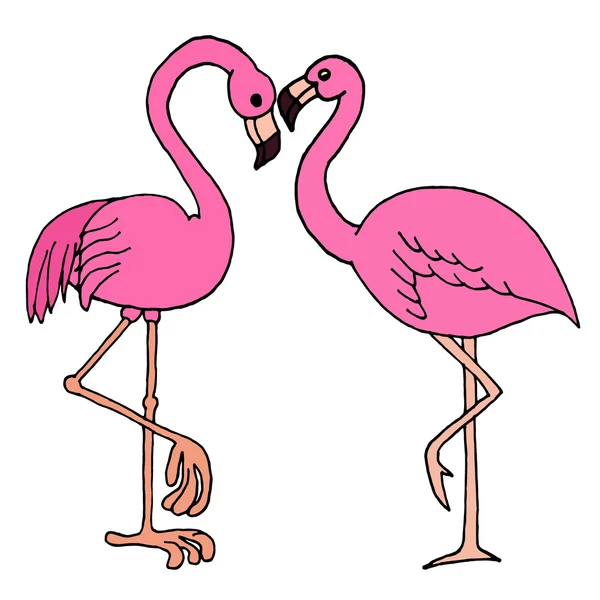 Icono del Flamingo Rosa. Vector flamenco. Ilustración del flamenco. Flamingo aislado. Diseño flamenco. Textura de flamenco. Logo Flamingo. Resumen flamenco. Banner de flamenco. Cartel de flamenco. Objetos flamencos . Vector De Stock