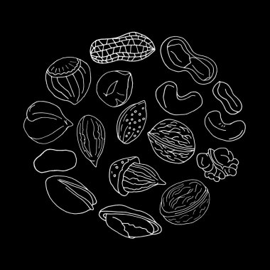 Ceviz seti. Ceviz koleksiyonu. Fındık seti. Ceviz seti. Ceviz koleksiyonu. Ceviz tasarımı. Ceviz sanatı. Ceviz nesneleri. Ceviz izole edilmiş. Ceviz arka plan. Ceviz yemeği. Ceviz mahsulleri. Ceviz vektörü. Ceviz illüstrasyon. Ceviz sanatı