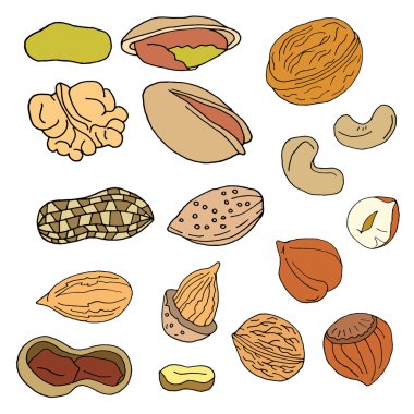 Ceviz seti. Ceviz koleksiyonu. Fındık seti. Ceviz seti. Ceviz koleksiyonu. Ceviz tasarımı. Ceviz sanatı. Ceviz nesneleri. Ceviz izole edilmiş. Ceviz arka plan. Ceviz yemeği. Ceviz mahsulleri. Ceviz vektörü. Ceviz illüstrasyon. Ceviz sanatı