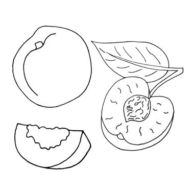 Şeftali seti. Şeftali koleksiyonu. Şeftali seti. Şeftali koleksiyonu. Şeftali şirin. Şeftali rengi. Şeftali karikatürü. Şeftali soyut. Şeftali tasarımı. Şeftali izole edilmiş. Taze şeftali. Şeftali nektarin. Şeftali arka planı. Şeftali illüstrasyon. Şeftali vektörü.