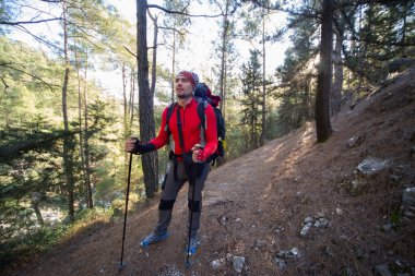Yaz yürüyüşü dağlarda.