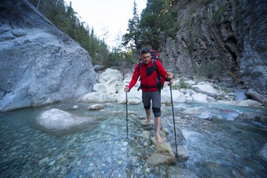 Yaz yürüyüşü dağlarda.