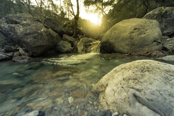 Mountain river flowing through a canyon in the summer. — Stock Photo, Image