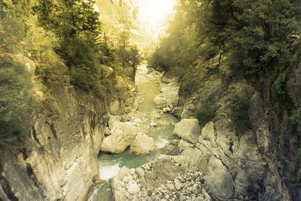 Mountain river flowing through a canyon in the summer. — Stock Photo, Image