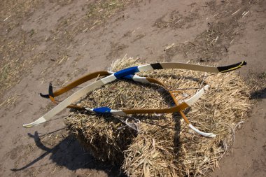 Okçuluk hedefe erken baharda ormanda.