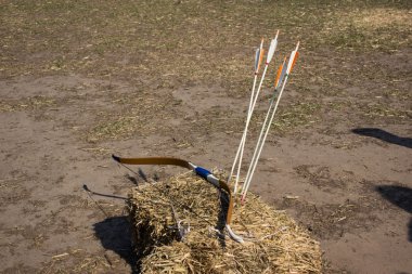 Okçuluk hedefe erken baharda ormanda.