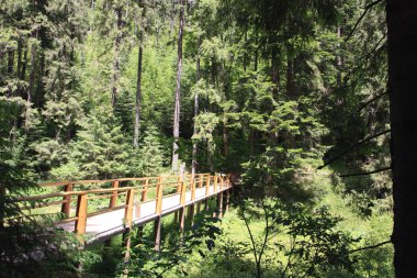 Yaz aylarında güzel panoramik sahne.