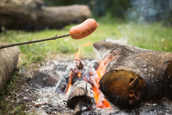 Cooking a meal over an open fire at a campsite in the woods.