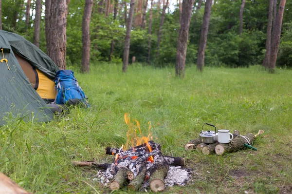 Camping en el bosque . —  Fotos de Stock