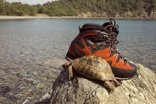 Sköldpadda med mountain stövlar på bakgrund av havet. — Stockfoto