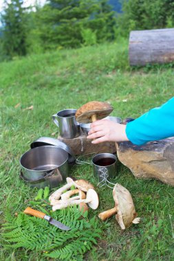 Dağda kamp ve mantar yemek pişirme.