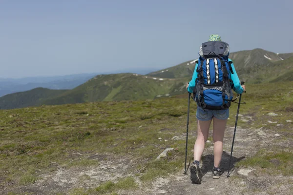 Senderismo en las montañas en verano en un día soleado . — Foto de Stock