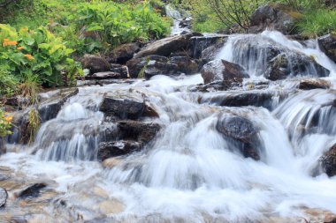 Yaz boyunca dağlarda güzel şelale.