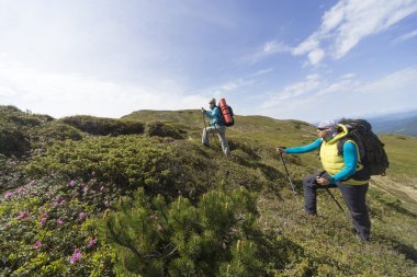 Bir sırt çantası ile dağlarda hiking yaz . 
