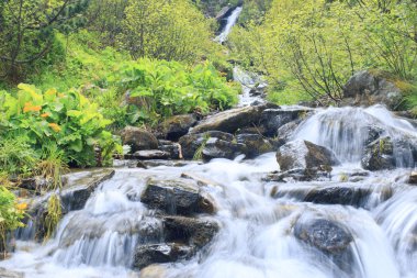 Yaz boyunca dağlarda güzel şelale.