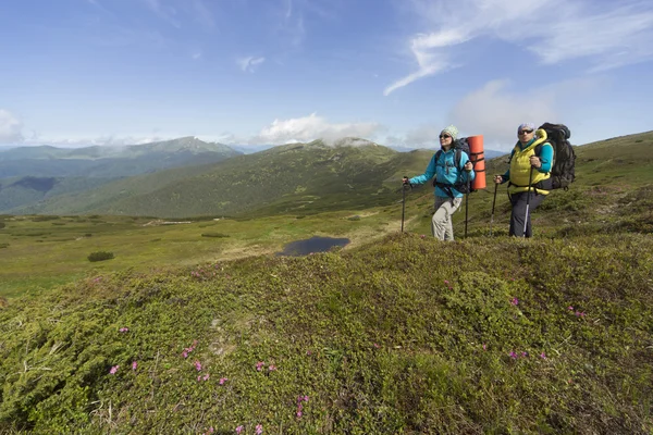 Sommerwandern in den Bergen mit dem Rucksack . lizenzfreie Stockfotos