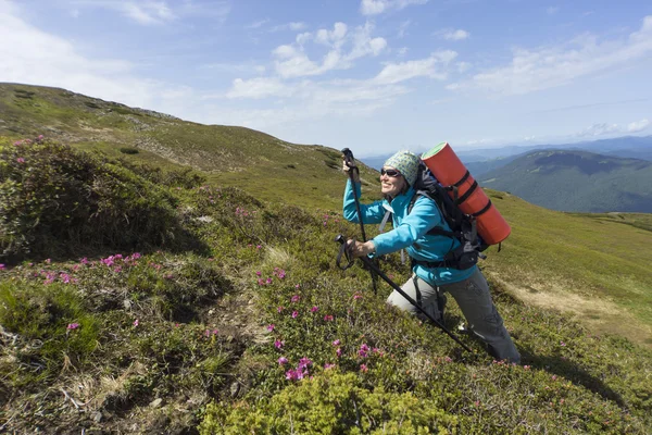 Sommerwandern in den Bergen mit dem Rucksack . — Stockfoto